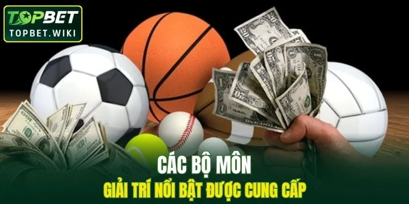 Các bộ môn giải trí nổi bật được cung cấp