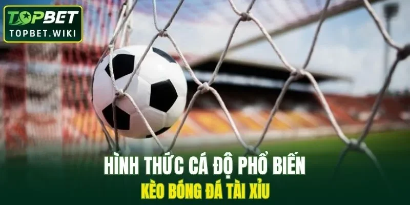Hình thức cá độ kèo bóng đá trên dưới phổ biến