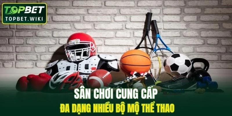 Sân chơi cung cấp đa dạng nhiều bộ mộ thể thao