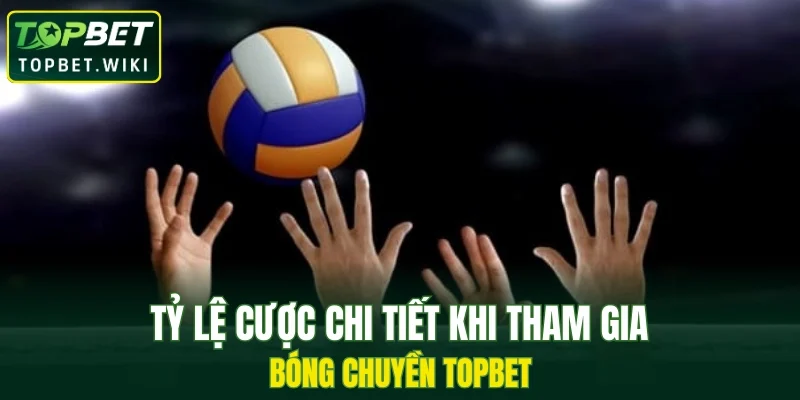 Tỷ lệ cược chi tiết khi tham gia bóng chuyền TOPBET