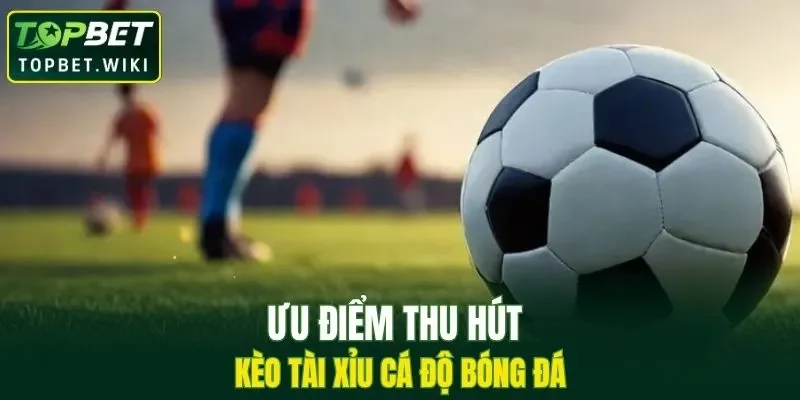 Vì sao hình thức cá độ được nhiều bet thủ yêu thích